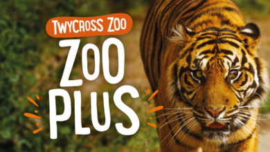 Twycross Zoo Opening Times