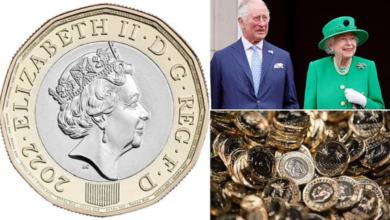 Rare Queen Elizabeth II 1 Coins