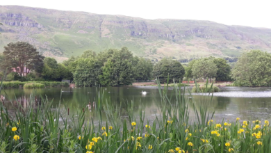 Lennoxtown