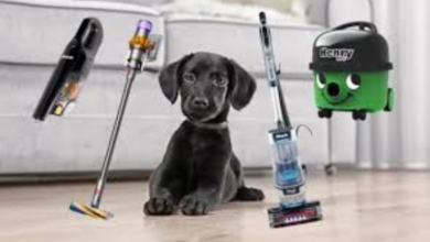 Best Hoover for Pet Hair