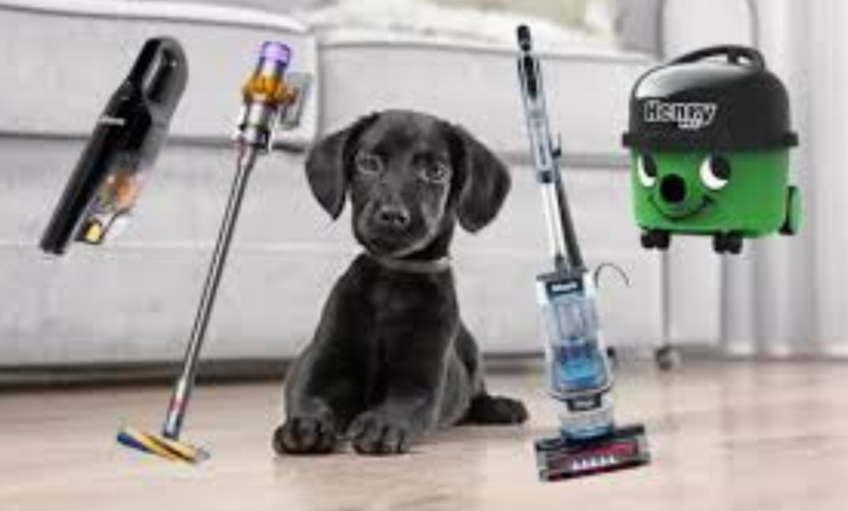 Best Hoover for Pet Hair