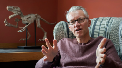 Tom Holland Historian