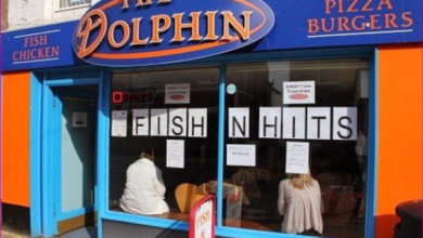 Dolphin Chippy