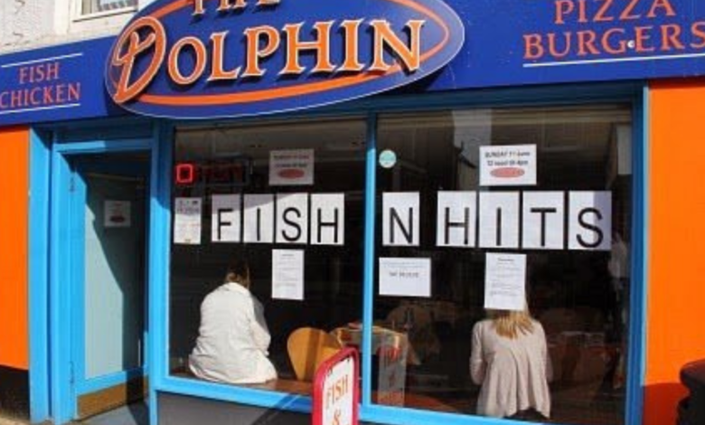 Dolphin Chippy