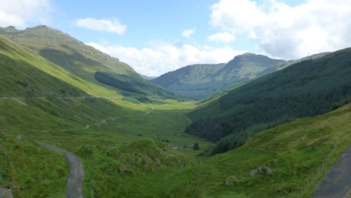 Argyll Forest Park